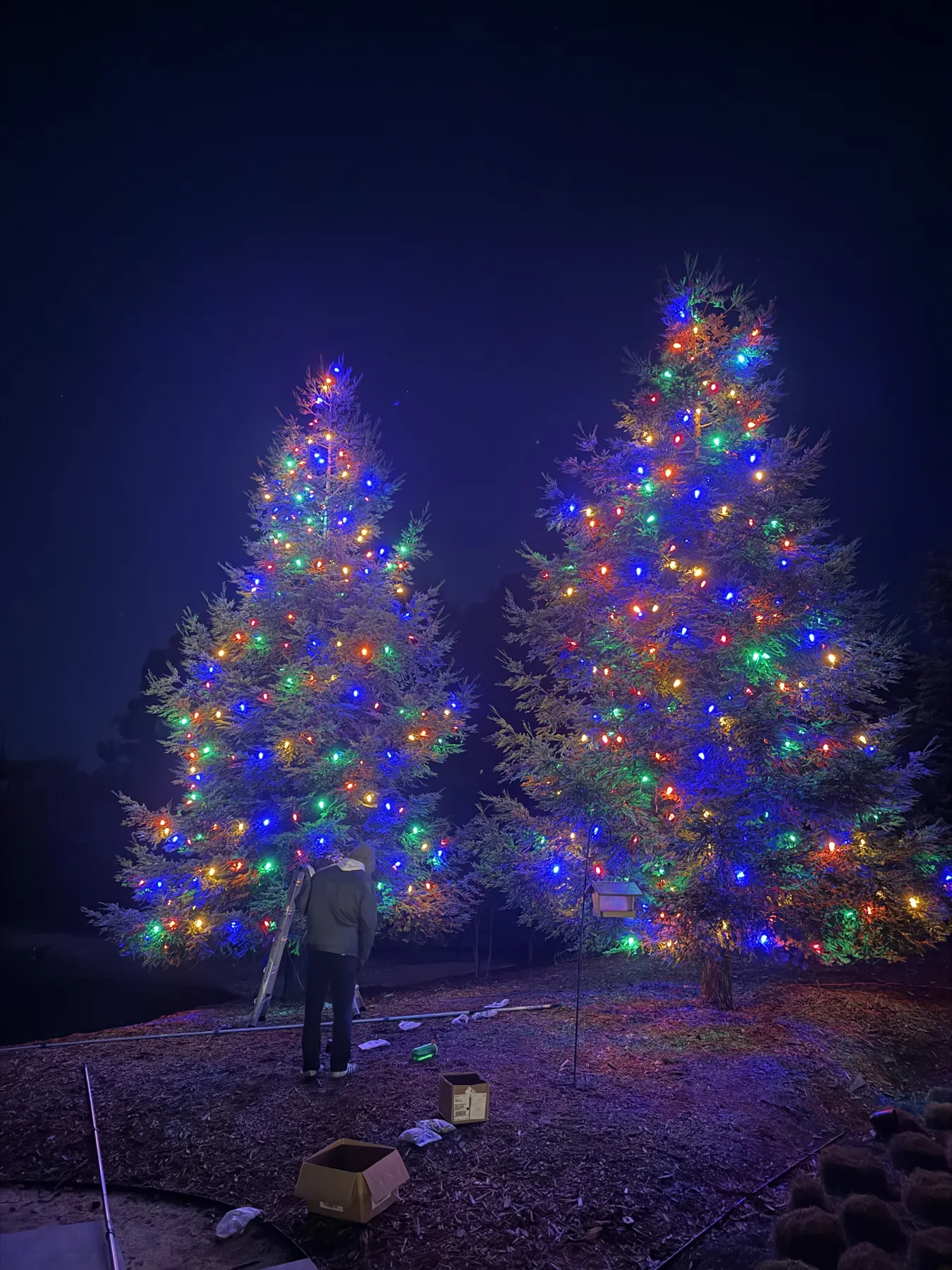 Tree & Landscape Lighting